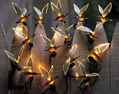 Hummingbird Lights