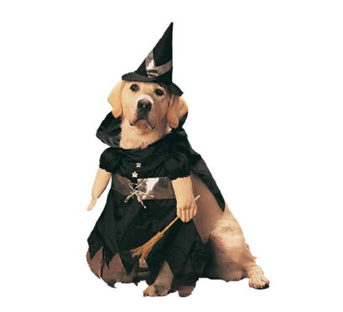 halloween костюмы для собак